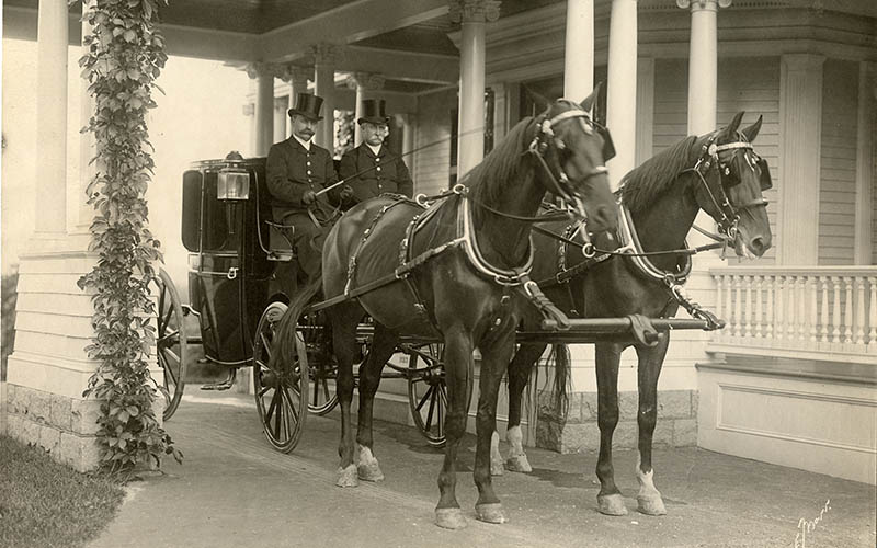 Mary Baker Eddy et les animaux