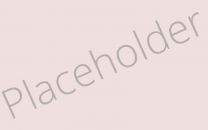 Placeholder